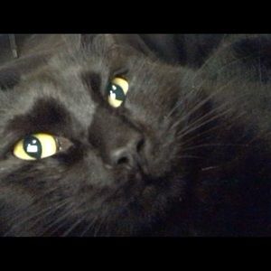 Meet your Posher, Gianni